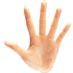 hand_13.jpg